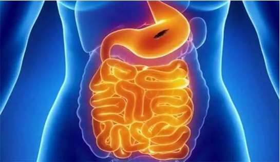 5.png